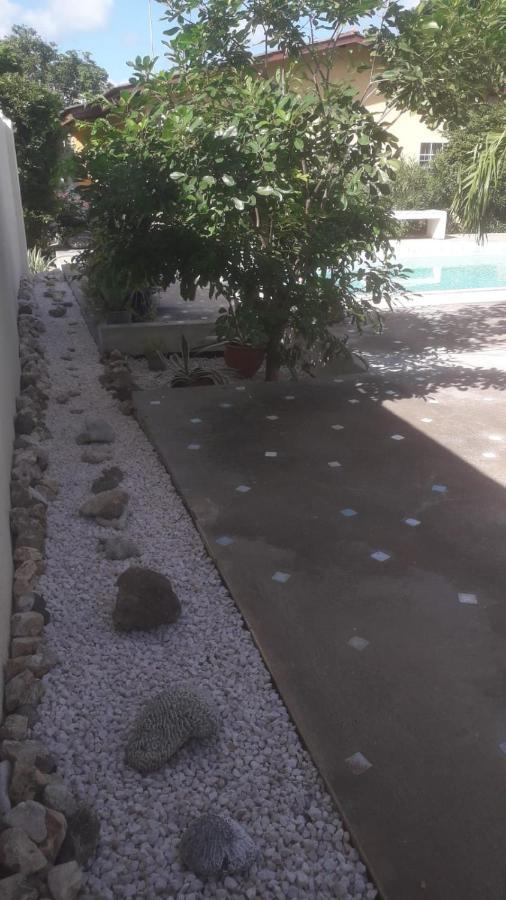 Happy Turtle Apartments Willemstad Exterior photo