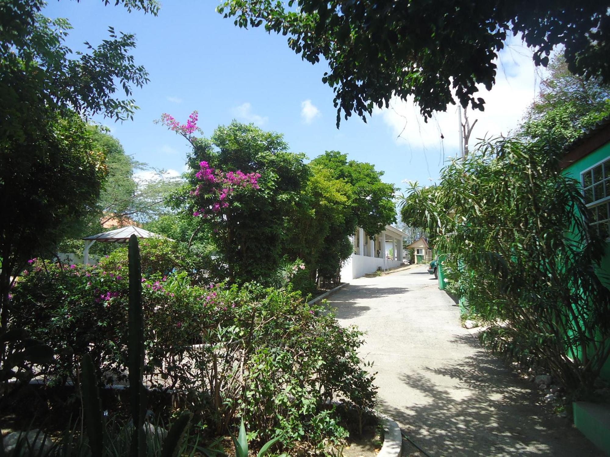 Happy Turtle Apartments Willemstad Exterior photo